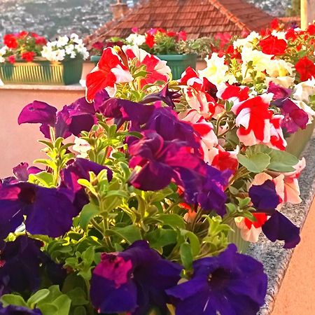 Apartament Garden Free Parking Sarajewo Zewnętrze zdjęcie
