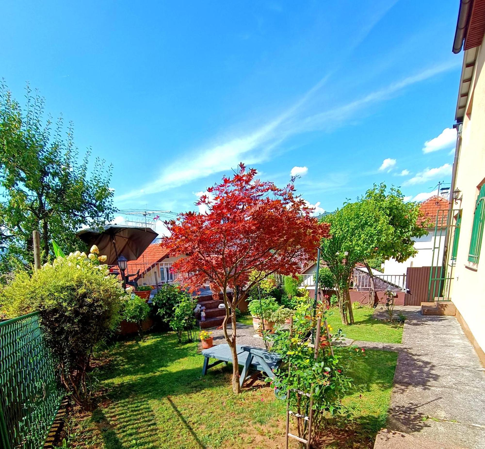Apartament Garden Free Parking Sarajewo Pokój zdjęcie