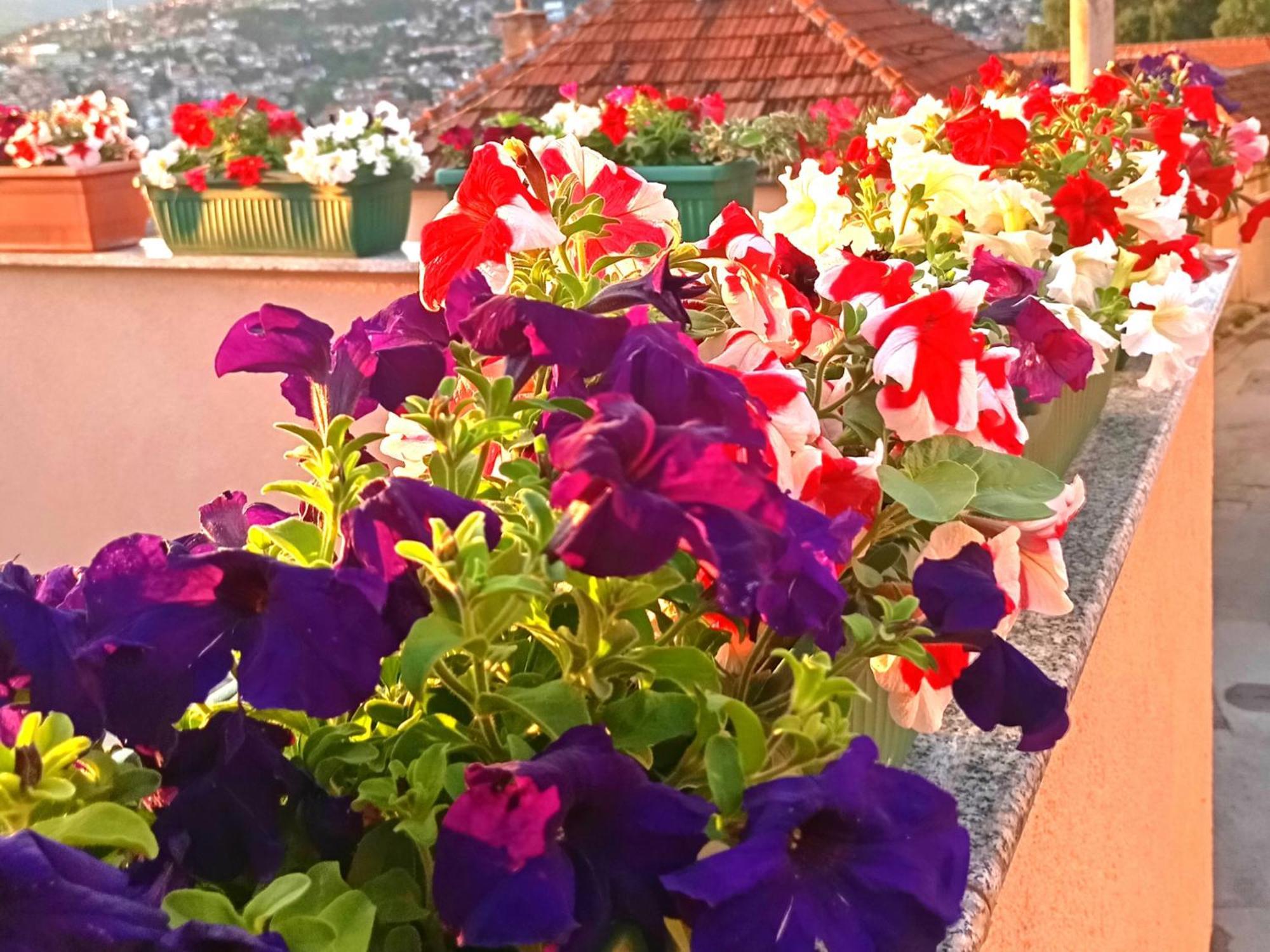 Apartament Garden Free Parking Sarajewo Zewnętrze zdjęcie