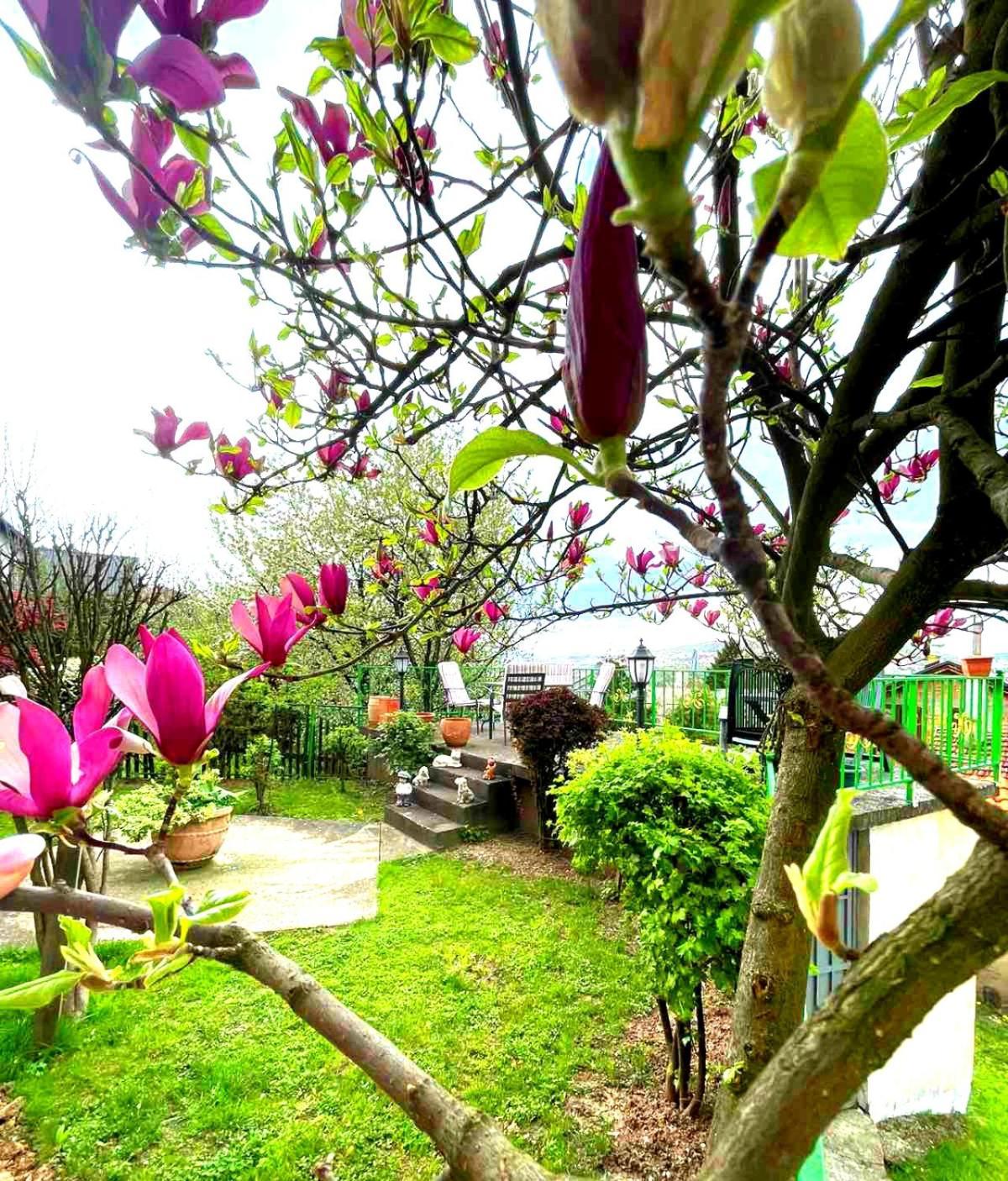 Apartament Garden Free Parking Sarajewo Zewnętrze zdjęcie